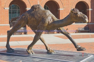 CWBBCampbellUniv52vsLongwood541-10-21SCSVA-52