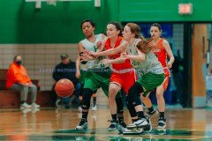 HSGB-WilliamsburgvsHarlan2-5-21CMSVA-10