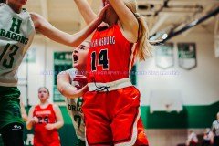 HSGB-WilliamsburgvsHarlan2-5-21CMSVA-17